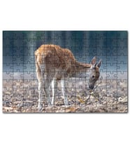 Cakapuzzle Yavru Geyik ve Yerde Kuru Yapraklar Puzzle Yapboz MDF (Ahşap) (120 Parça)