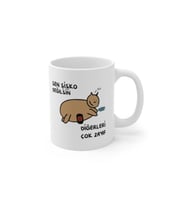 Şişko Kedi Baskılı Kupa