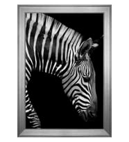 Hayvanlar Temalı Kanvas Tablo 50 x 70 cm Silver Çerçeve
