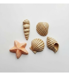 Mini Deniz Kabukları 5Li Silikon Kalıp 4 Cm