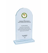 Kristal Cam Plaket