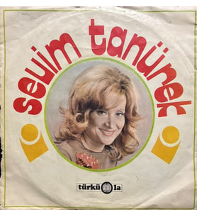 Sevim Tanürek Susuz Bir Çöl Gibi 45lik Plak (Karışık)