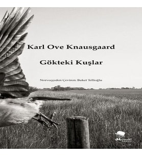 Gökteki Kuşlar