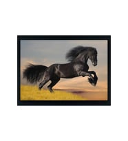 DBSanatevi Arap Atı Tablo 60 X 80 Cm