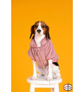 Köpek kıyafeti, Salya Store Rose Aerobin Kadife Mont KK-118