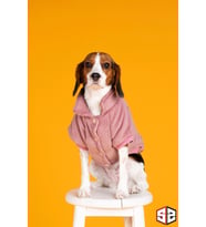 Köpek kıyafeti, Salya Store Rose Aerobin Kadife Mont KK-118