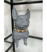 GRİ KUBİK KÖPEK