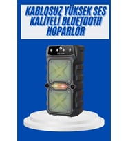 Mey İthalat® Büyük Boy Bluetooth Hoparlör Çoklu Bağlantı Çift Çıkışlı Taşınabilir Kesintisiz