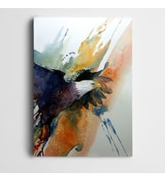 Kartal Renkler Kanvas Tablo