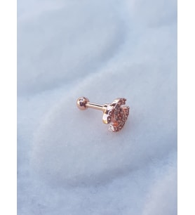 Tragus Küpe Piercing Çelik