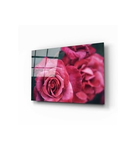 Miyrem Glasses Collection -A1^#  Rose 1 Cam Tablo (Çok Renkli)