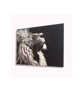 Miyrem Glasses Collection -A1^#  Aslan Cam Tablo (Çok Renkli)