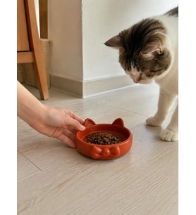 Papyon Model Beton Kedi Köpek Mama ve Su Kabı 16 cm çap - Kiremit