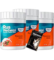 Turquoise Tüylere 3 Adet Ceviz & Ceviz Sütü Rus Merhemi 50 ml + Yanında Jel