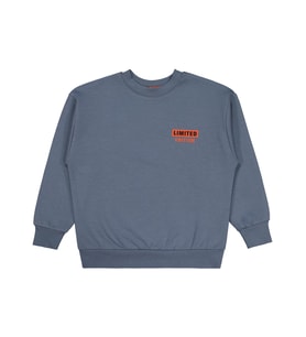 Civil Boys Prıvate Baskılı 6-9 Yaş Sweatshirt - Gri