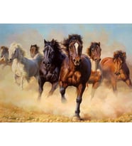 Mustang Sayılarla Boyama Seti(40x50 cm Tuval Şasesine Gerili)