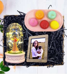 Kişiye Özel Fotoğraflı Şans Melekli Işıklı Fanus & Makaron Mum Seti