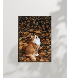 1. Sonbaharda Kedi Poster