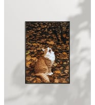 1. Sonbaharda Kedi Poster (Çok Renkli)