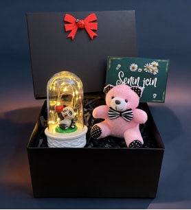 Siyah Hediye Kutusunda Led Işıklı Fanus ve Pembe Peluş Ayıcık Hediye Seti (Model 5)