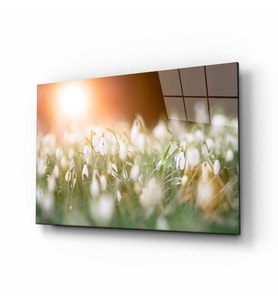 Doğa Manzara Cam Tablo 4mm Dayanıklı Temperli Cam