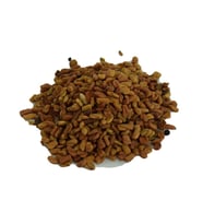 Doğal Tane Çemen Otu Tohumu Poy Otu Tane Boy Otu Tohum 100GR