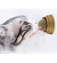 Cat Mint Kedi Nanesi Oyun Topu