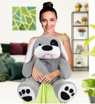 Karizmatik Korsan Köpek (%100 yerli ) (Gri)