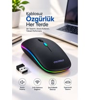 Pg9009 MOUSE