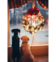 Yılbaşı Işıltısı ve Sadık Dostlar Temalı MDF Tablo - Kış Konseptli Köpek Figürlü Dekoratif Duvar Panosu
