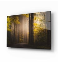 Doğa Manzara Cam Tablo 4mm Dayanıklı Temperli Cam
