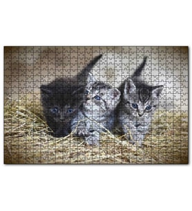Cakapuzzle Samanlar Arasında Mavi Gözlü Üç Yavru Kedi Puzzle Yapboz MDF (Ahşap) (120 Parça)