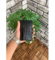 Guard Croco Baskılı Siyah Hakiki Deri Pasaport Kılıfı Erkek / Kadın P5249