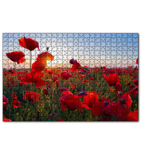 Cakapuzzle Gündoğumu Çayırda Kırmızı Gelincikler  Puzzle Yapboz MDF (Ahşap) (120 Parça)