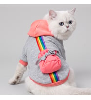 Rainbow Kedi Sweatshirt Kapüşonlu Gökkuşağı Detaylı Kedi Kıyafeti Kedi Hoodie