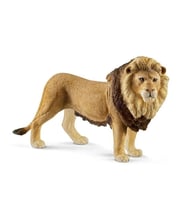 Erkek Aslan