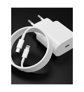 iPhone 13 12 11 XR XS X SE 2022 2020 20W Lightning Şarj Cihazı
