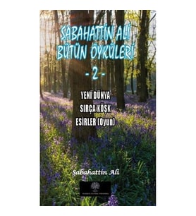 Sabahattin Ali Bütün Öyküleri  2 - Yeni Dünya - Sırça Köşk - Esirler