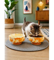 Mama Kabı Kedi ve Köpek Ayaklı 2 li Seramik Doğal Mama ve Su Kabı Soft Sarı Marble