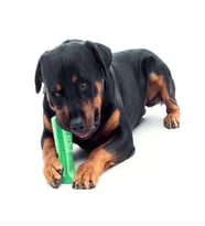 Köpek Diş Fırçası Isırma Aparatı Küçük Boy, Köpek Dişlik Yeşil
