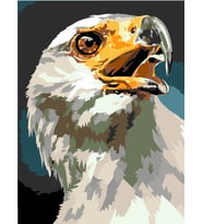 Kartal Başı Sayılarla Boyama Seti 50x65 cm (Tuvale Gerili)
