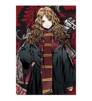 Prime 3D Harry Potter Hermione Granger Figür ve 300 Parça Puzzle