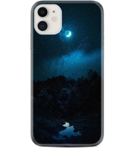 Apple iPhone 11 12 13 Mini Kılıf Desemli Silikon Gece 1633