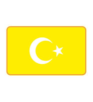 Cg Şeffaf Sarı Bayrak Far Filmi