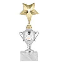 ODAK KUPA - Genel Kupalar - GG-003 C - 24 cm