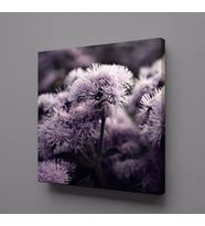LİLA ÇİÇEK KANVAS TABLO 70x70cm (Karışık)