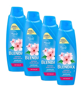 Blendax Mat Saçlar İçin Şampuan 500 ml 4 lü