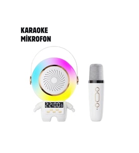 TK-66 KARAOKE SPEAKER