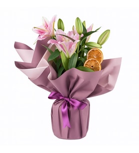 Buket Kağıtlı Saksı Pembe Lilyum