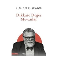 Dikkate Değer Mevzular